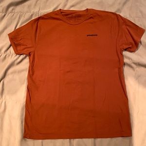 Patagonia mens graphic t-shirt size L. Like new never worn!